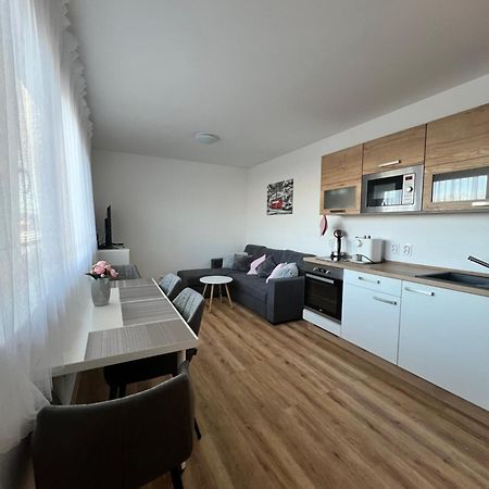 Apartman Roda2 Male Lipno Černá v Pošumaví Eksteriør bilde